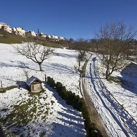 Sava Radovljica