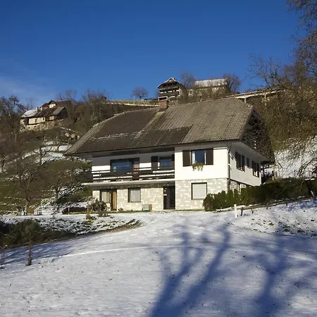 Sava * Radovljica